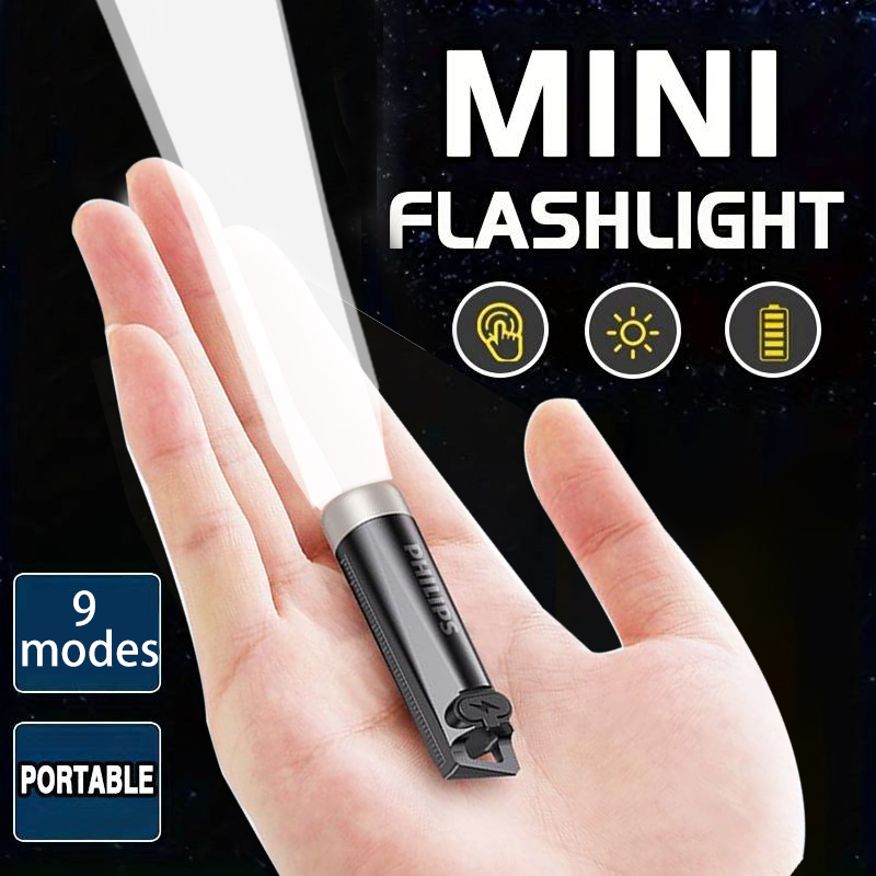 Philips Mini-Taschenlampe SFL1 – Outdoor Lighting Bollards Bewertung und Preis
